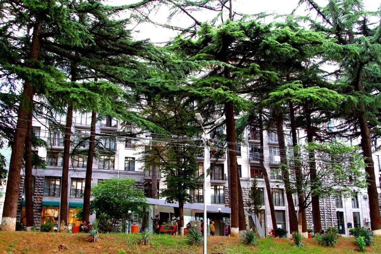 טביליסי Rustaveli Residence III מראה חיצוני תמונה